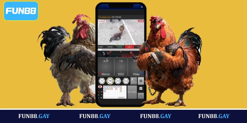 Khám phá các loại hình đá gà đỉnh cao tại Fun88